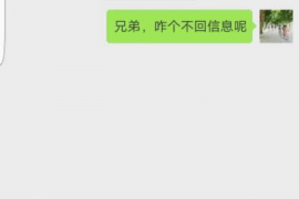 桓台为什么选择专业追讨公司来处理您的债务纠纷？